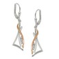 Silberschmuck Ohrhaken Brisuren