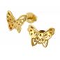 Preview: Ohrstecker Ohrring 7x10mm Schmetterling vergoldet 3 Mikron