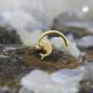 Preview: Nasenstecker 2,5mm Spirale mit kleinem Delfin 14Kt GOLD Preview: Nasenstecker 2,5mm Spirale mit kleinem Delfin 14Kt GOLD