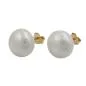 Preview: Ohrstecker Ohrring ca. 11mm Süßwasserzuchtperle abgeflacht 9Kt GOLD Preview: Ohrstecker Ohrring ca. 11mm Süßwasserzuchtperle abgeflacht 9Kt GOLD