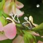 Preview: Ohrstecker Ohrring 8x7mm Schmetterling bicolor glänzend 9Kt GOLD Preview: Ohrstecker Ohrring 8x7mm Schmetterling bicolor glänzend 9Kt GOLD