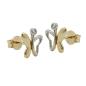 Preview: Ohrstecker Ohrring 8x7mm Schmetterling bicolor glänzend 9Kt GOLD Preview: Ohrstecker Ohrring 8x7mm Schmetterling bicolor glänzend 9Kt GOLD
