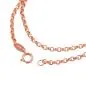 Preview: Armband 2mm Anker rund 9Kt Rotgold 19cm Preview: Armband 2mm Anker rund 9Kt Rotgold 19cm