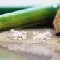 Preview: Ohrstecker Ohrring 11x6mm Schwanzlurch glänzend Silber 925