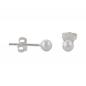 Preview: Ohrstecker Ohrring 4mm Kugel glänzend Silber 925 Preview: Ohrstecker Ohrring 4mm Kugel glänzend Silber 925