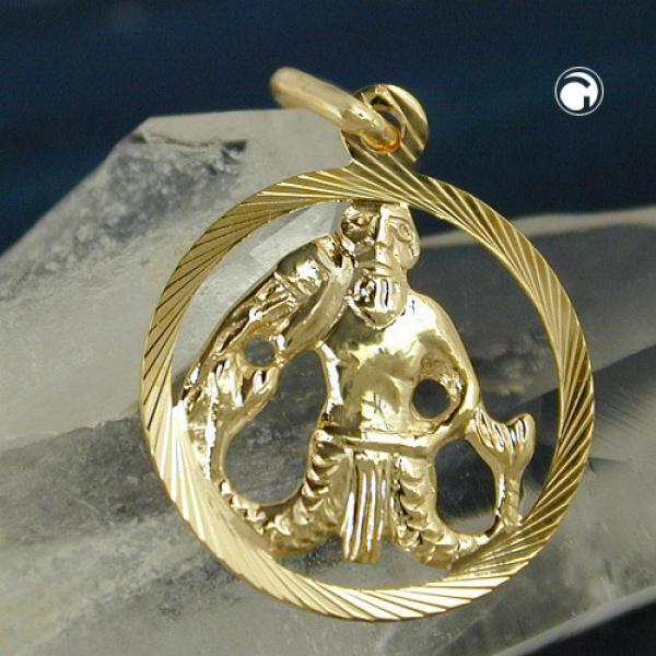 Anhänger 15mm Sternzeichen Wassermann 9Kt GOLD Anhänger 15mm Sternzeichen Wassermann 9Kt GOLD